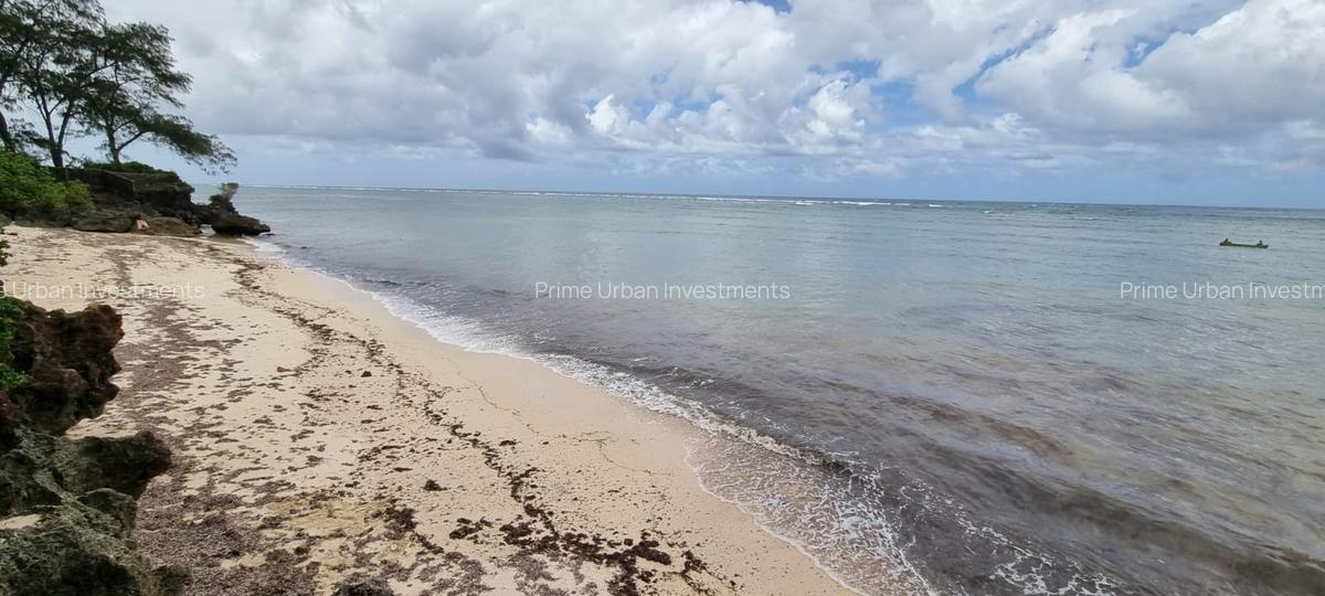 Land at Vipingo Kuruwitu Beach - 1