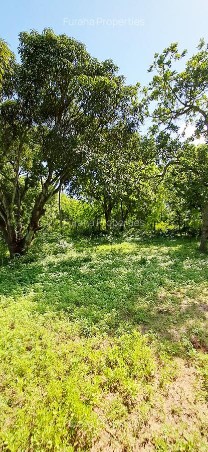Land at Mtwapa - 10