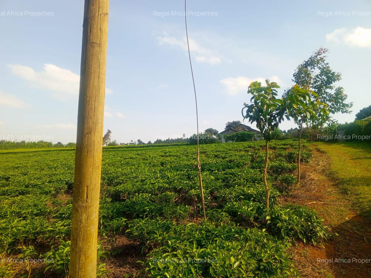 4.8 ac Land in Limuru - 1