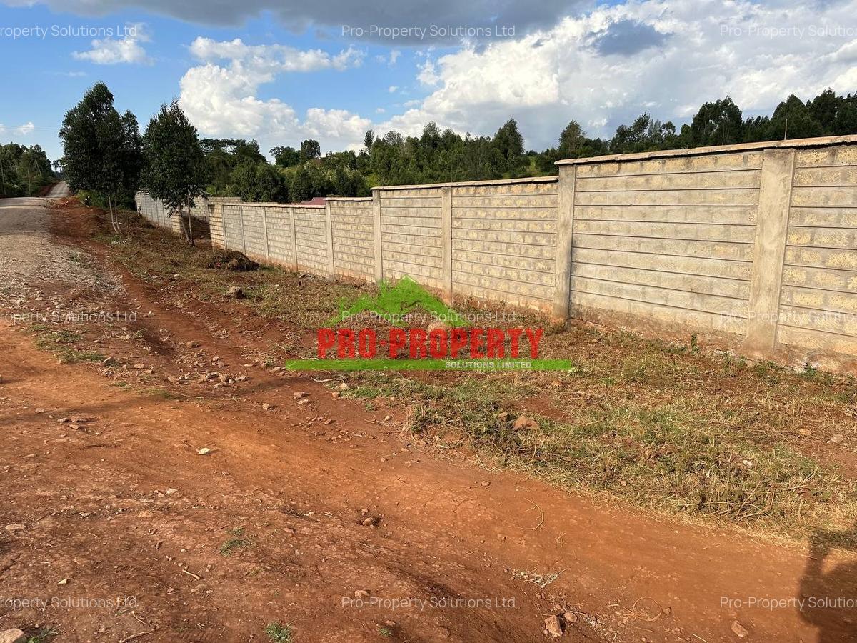 0.46 ha Residential Land at Ondiri - 10