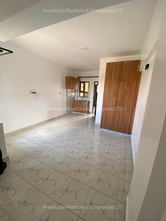 Studio Apartment with En Suite in Membley - 7