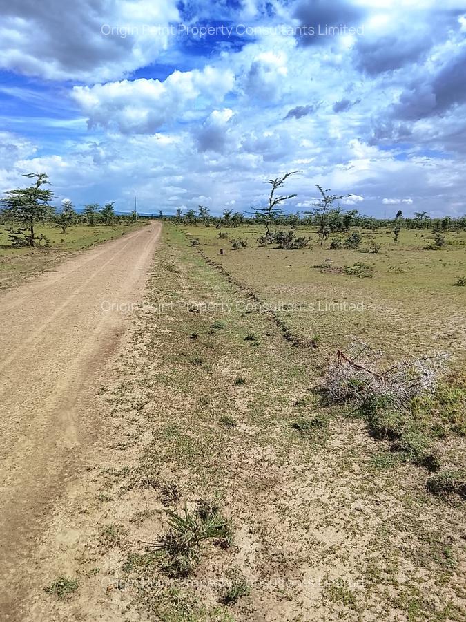 0.115 ac Land in Nanyuki - 1
