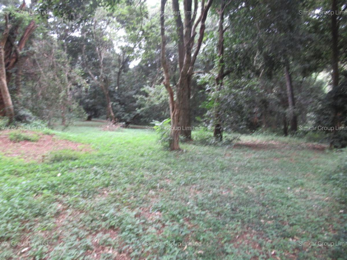 4 ac Land at Mushroom Gardens - 6