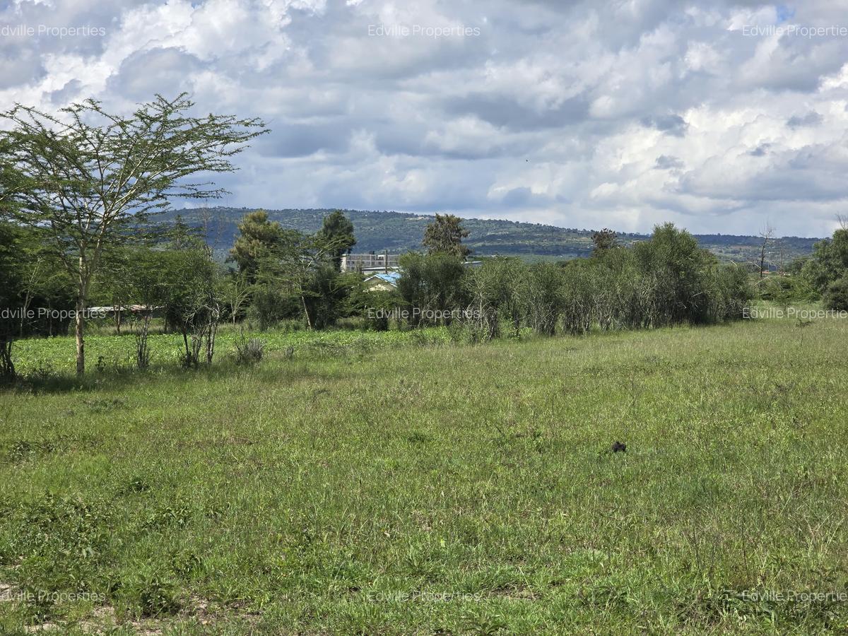 30,000 m² Residential Land at Aistrip - 3