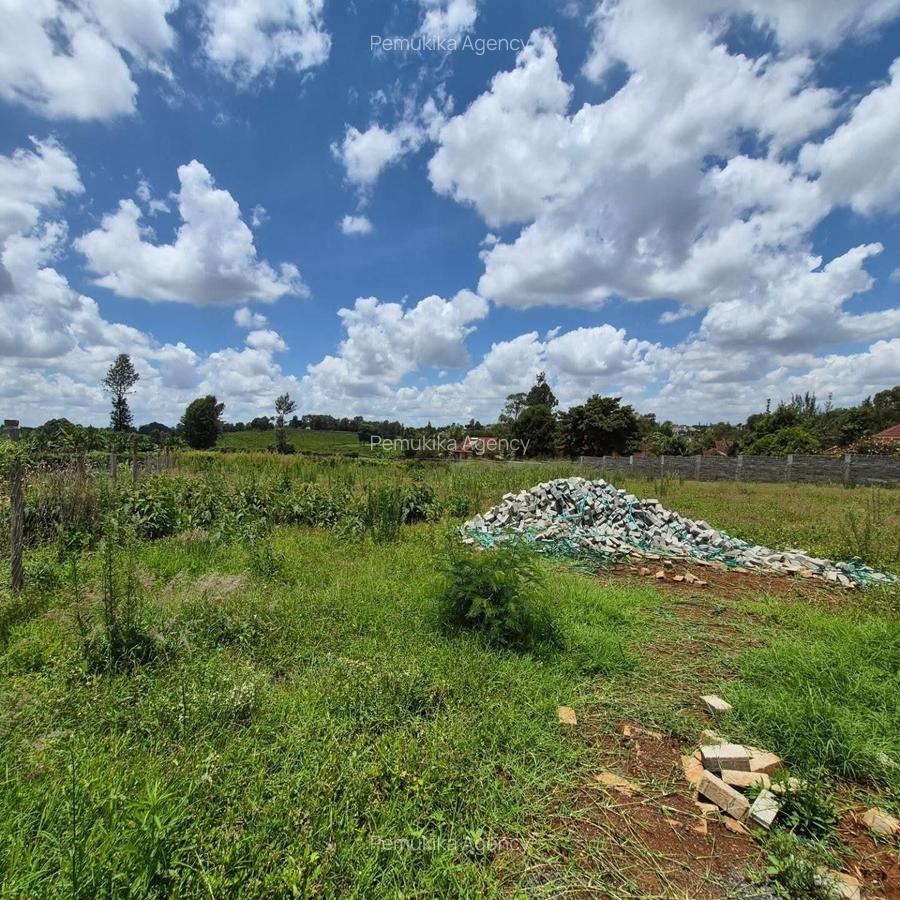 Residential Land in Runda - 3
