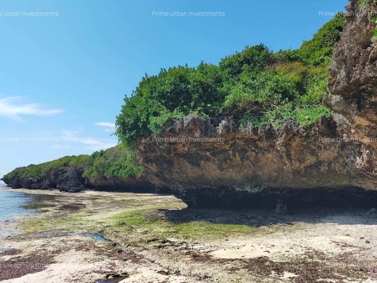 73.6 ac Land at Vipingo Kuruwitu Beach - 19