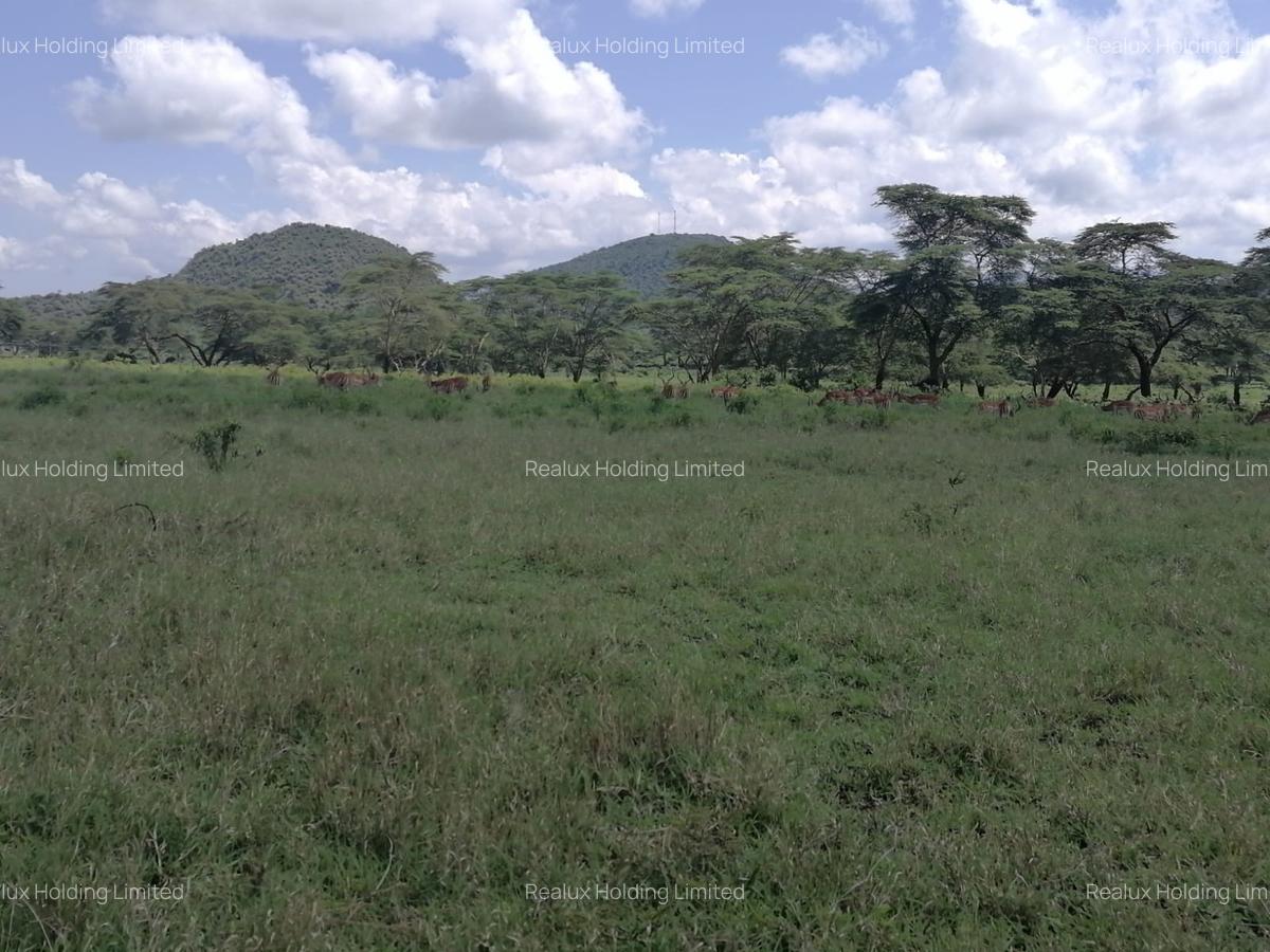 Land in Naivasha - 11
