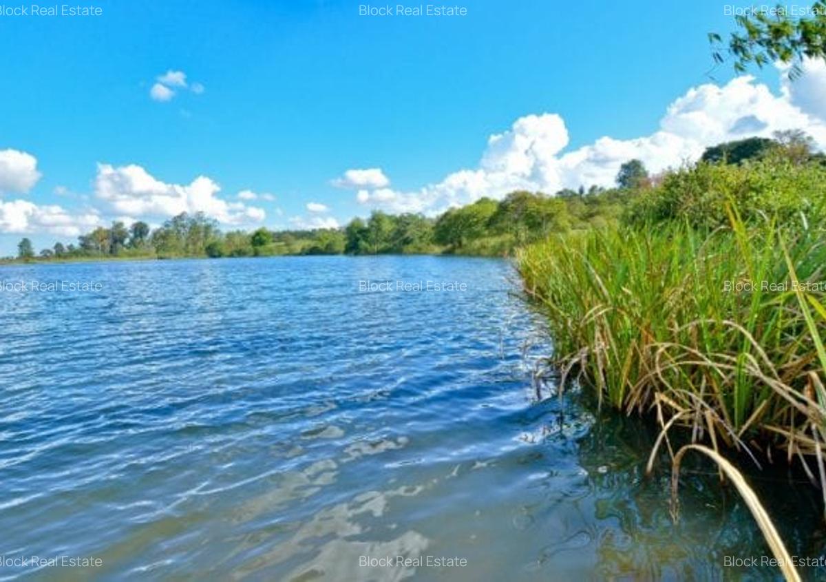0.125 ac Land in Ruiru - 5