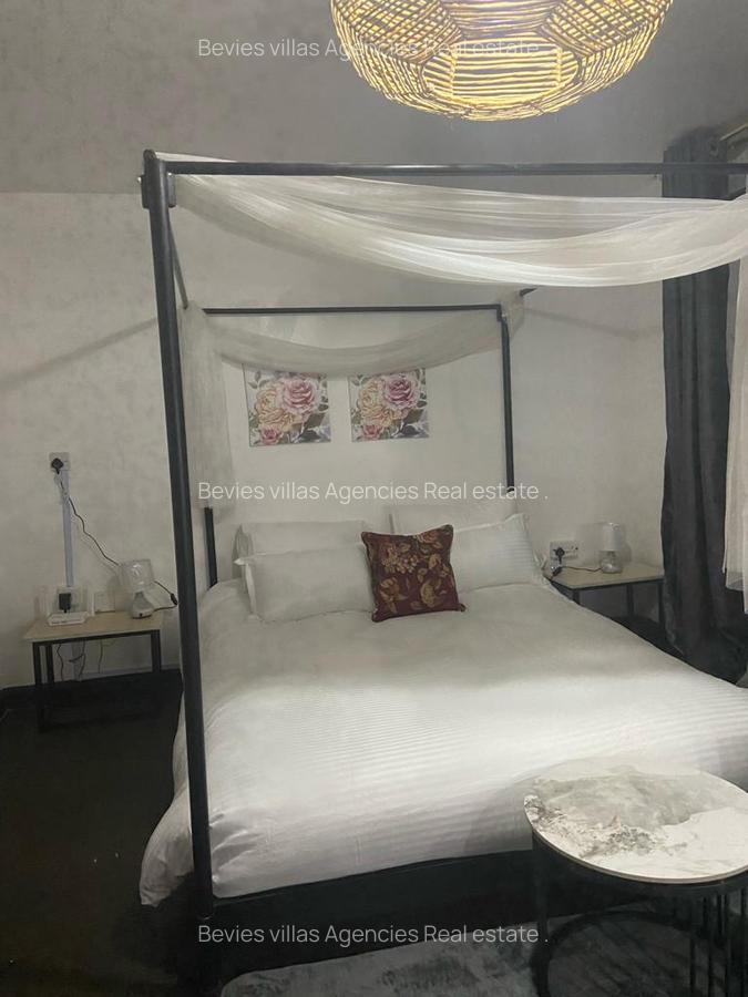 Furnished 1 Bed Apartment with Borehole at Raphta Road - 1