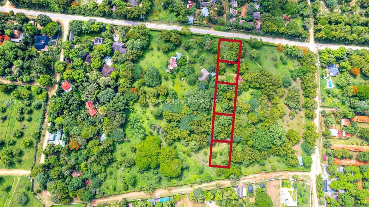 0.25 m² Land at Boribo Road - 5