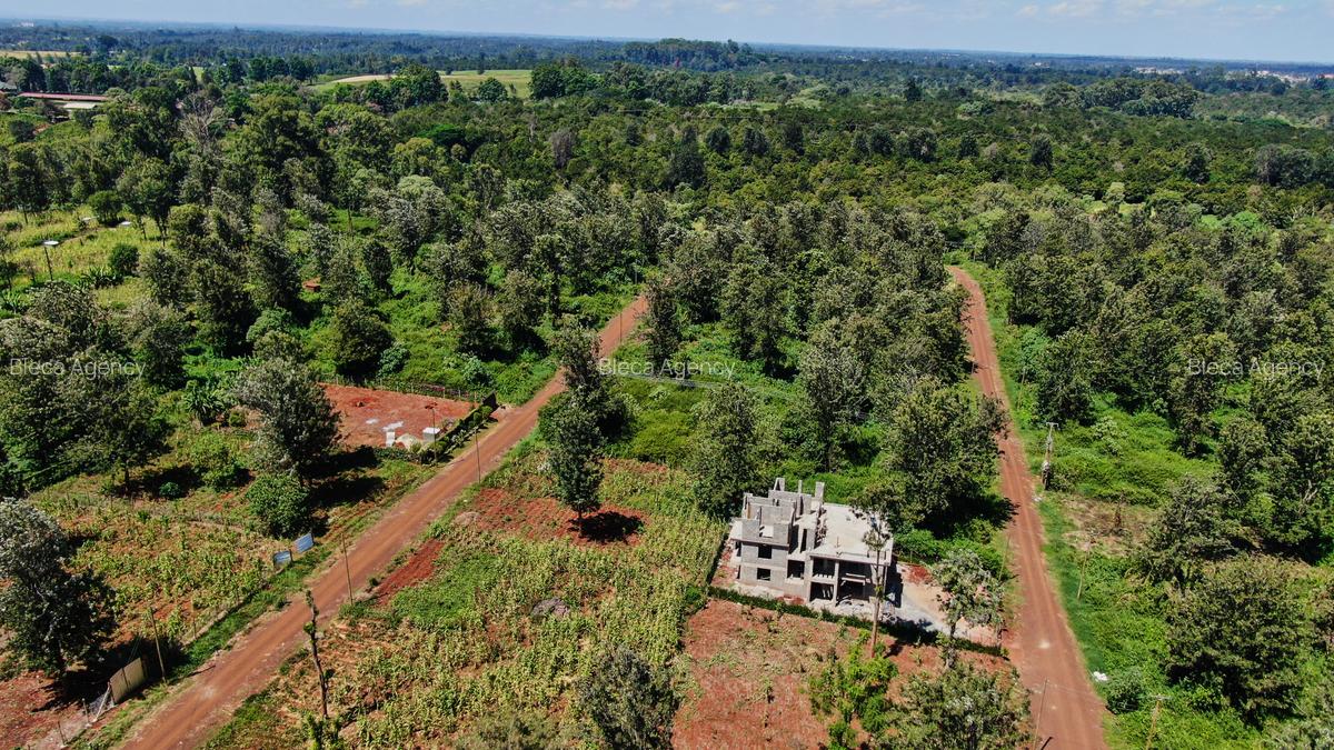 499 m² Residential Land in Tatu City - 13