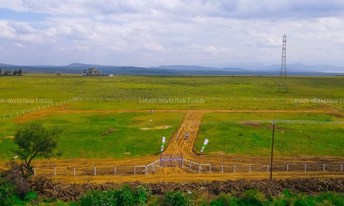 Residential Land in Naivasha - 4