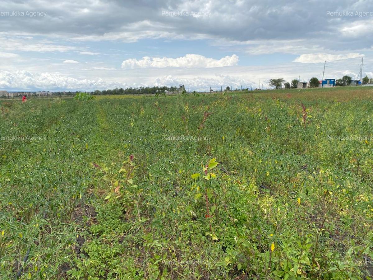 Commercial Land at Kitengera - 7