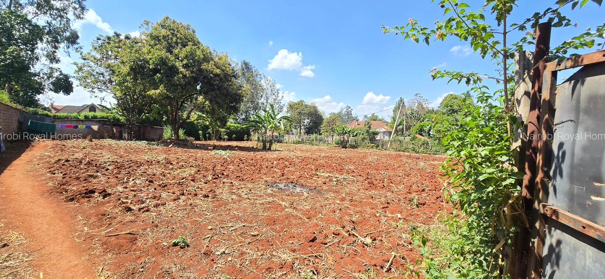 Residential Land at Runda Road - 9