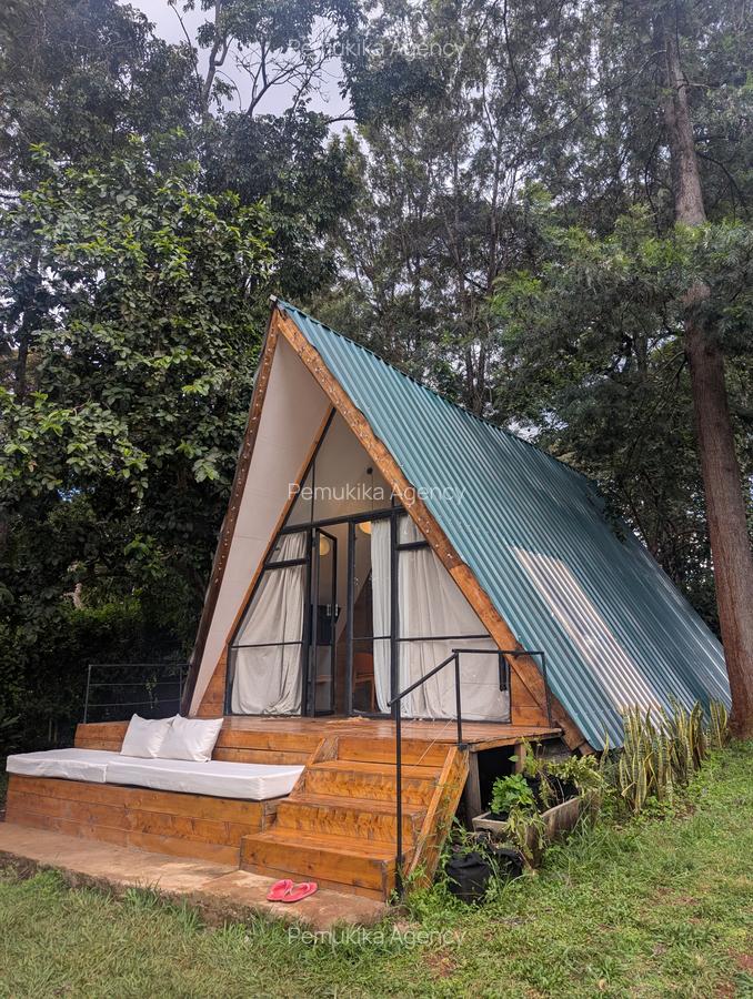 1 Bed House with En Suite at Windy Ridge - 2