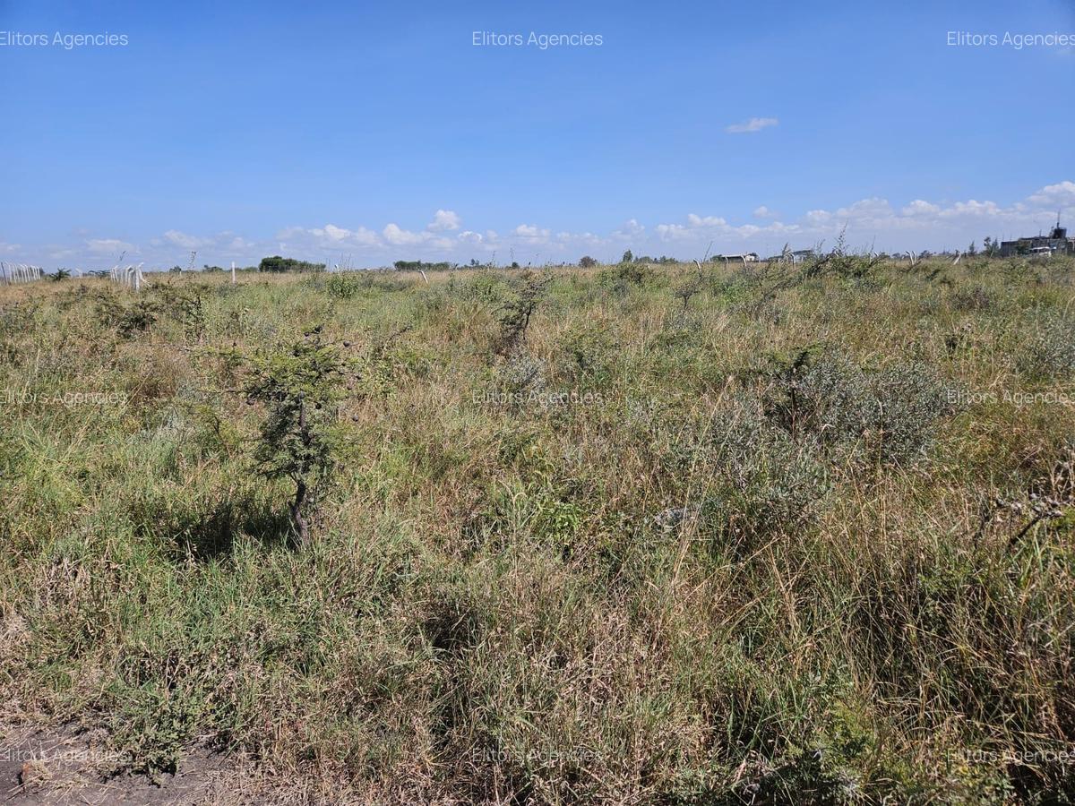 0.07 ac Land at Katani Road - 7