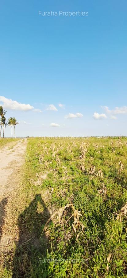 Land in Kilifi - 2