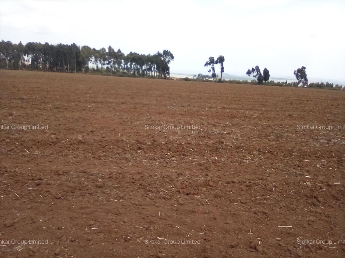 Land at Timau - 10