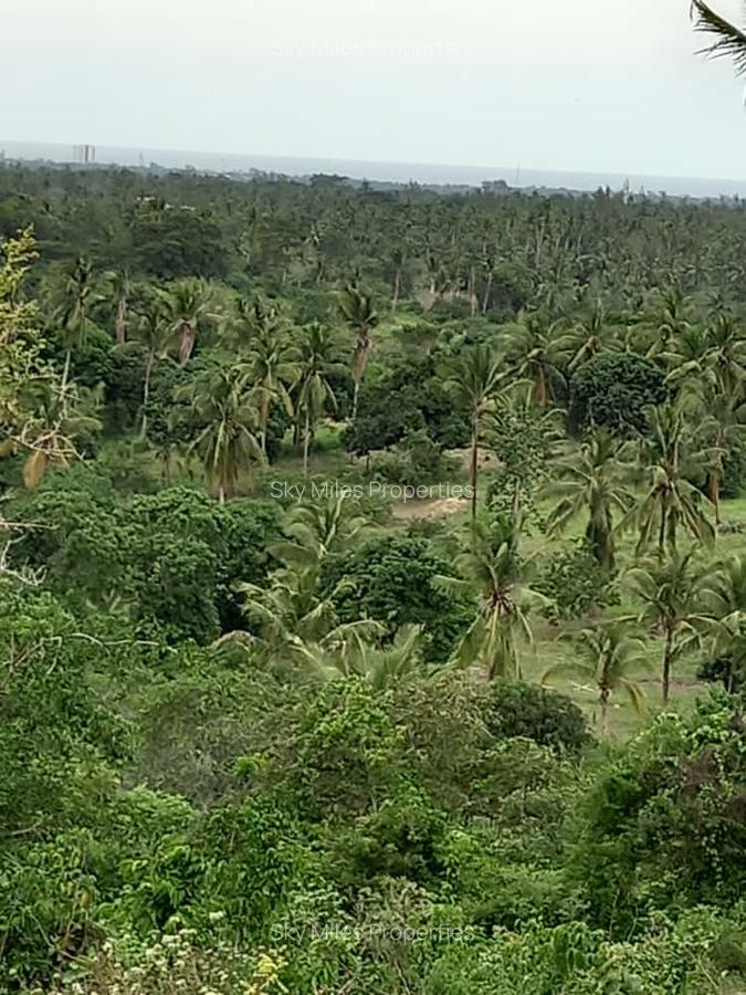 6 m² Land at Bomani - 17