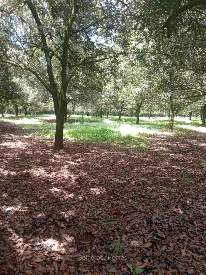0.125 ac Land at Thika Grove Chania-Opposite Blue Post Hotel - 11