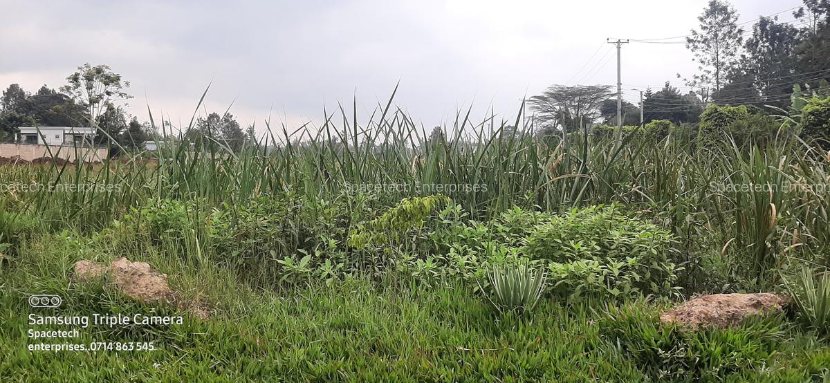 Land in Runda - 7