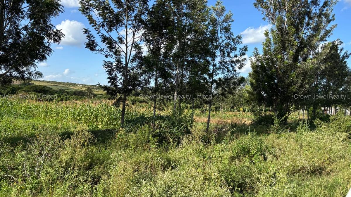 Land in Juja - 11