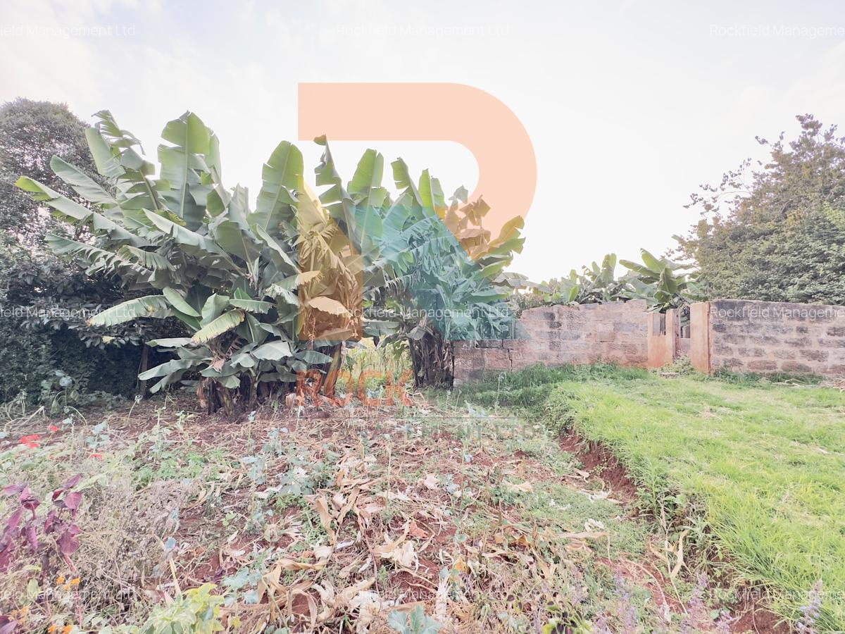 1.25 ac Land at White House Estate - 9