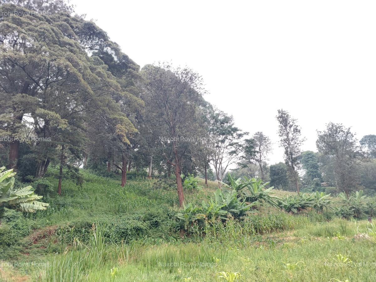Residential Land at Kitisuru Ridge 44 - 7