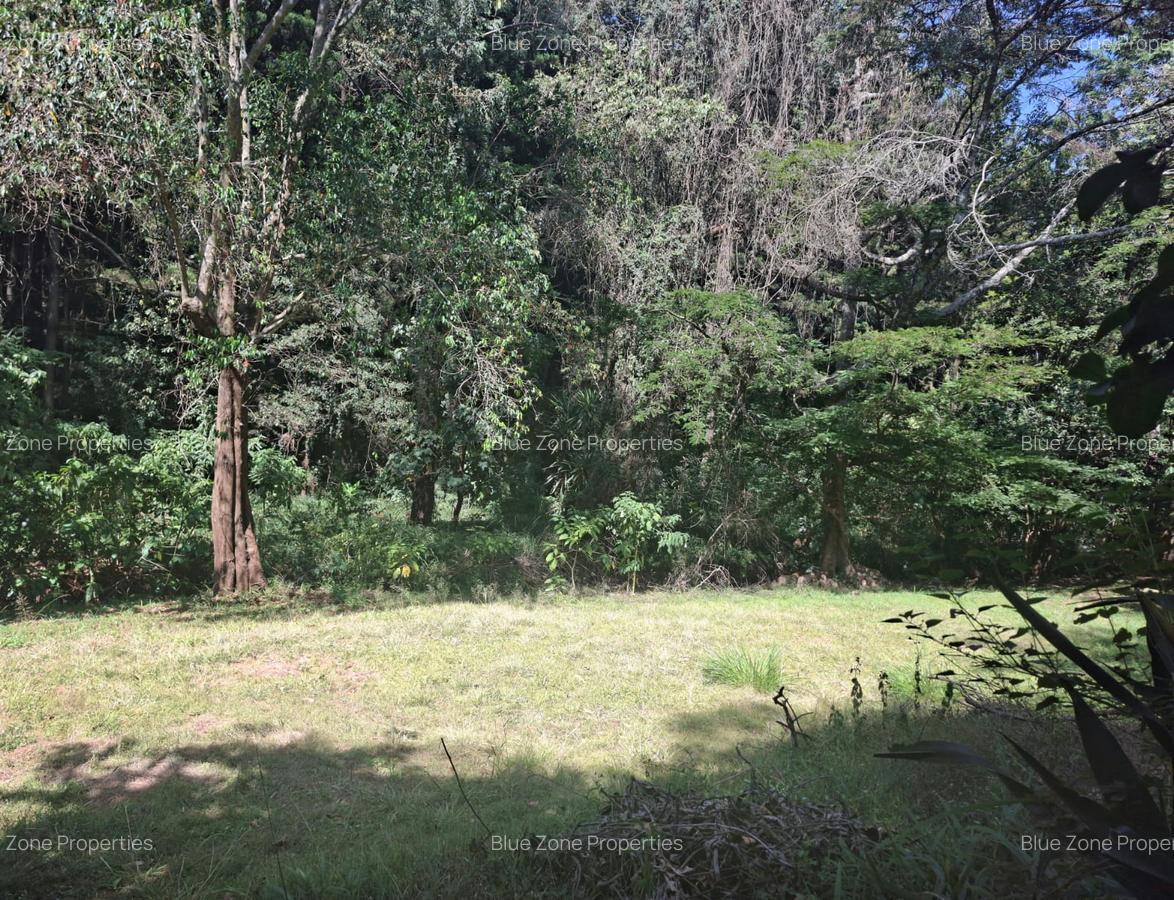 0.75 ac Residential Land at Off Naivasha Avenue - 6