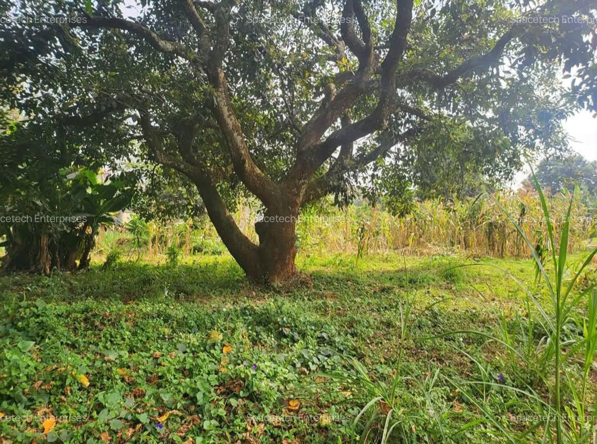 Land in Lower Kabete - 3