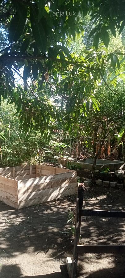 10 Bed House with Garden at Mwea - 3