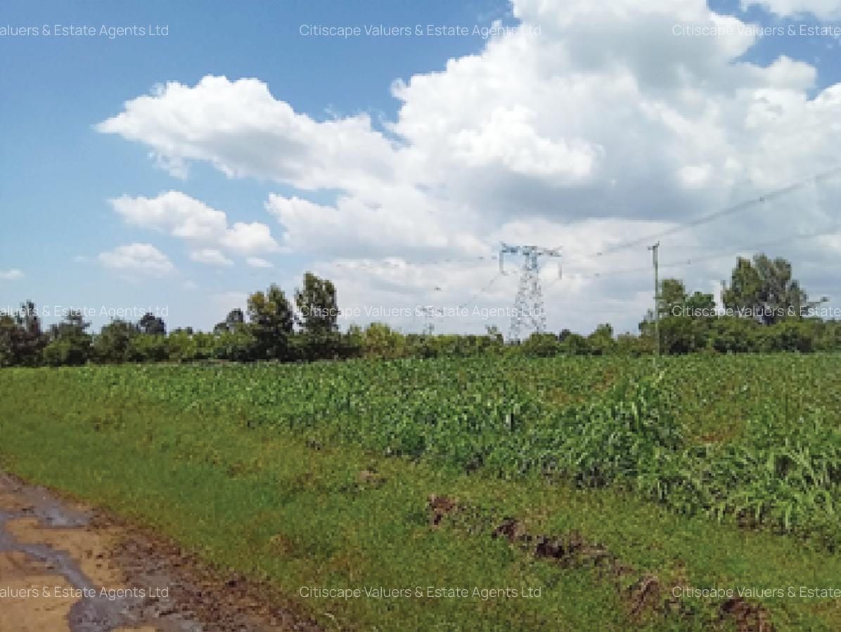 5 ac Land in Naivasha - 1