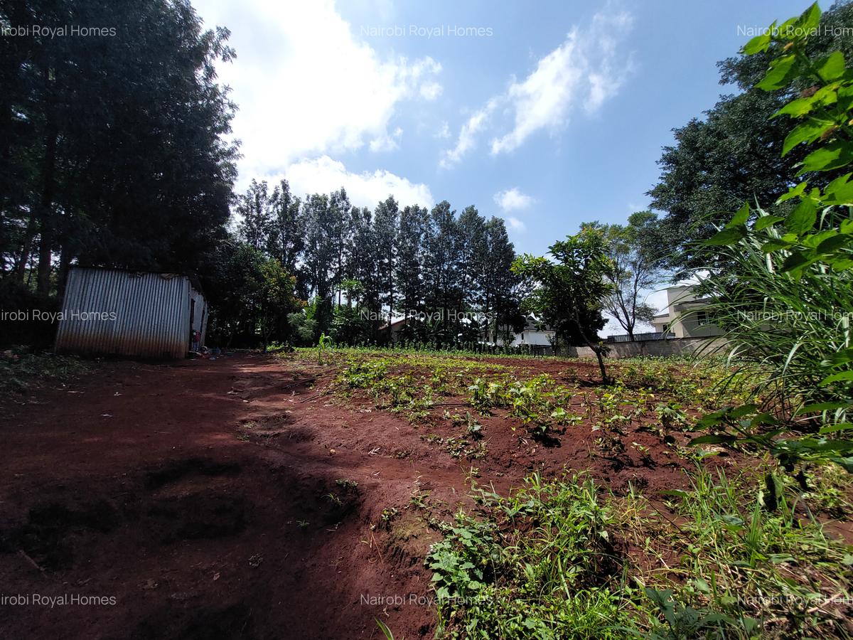 Residential Land at Kirawa Road - 15