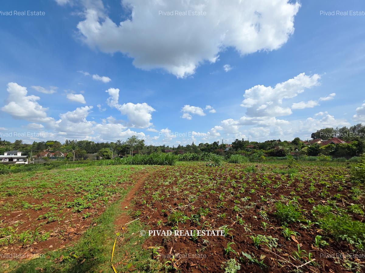 5.7 ac Land in Runda - 2