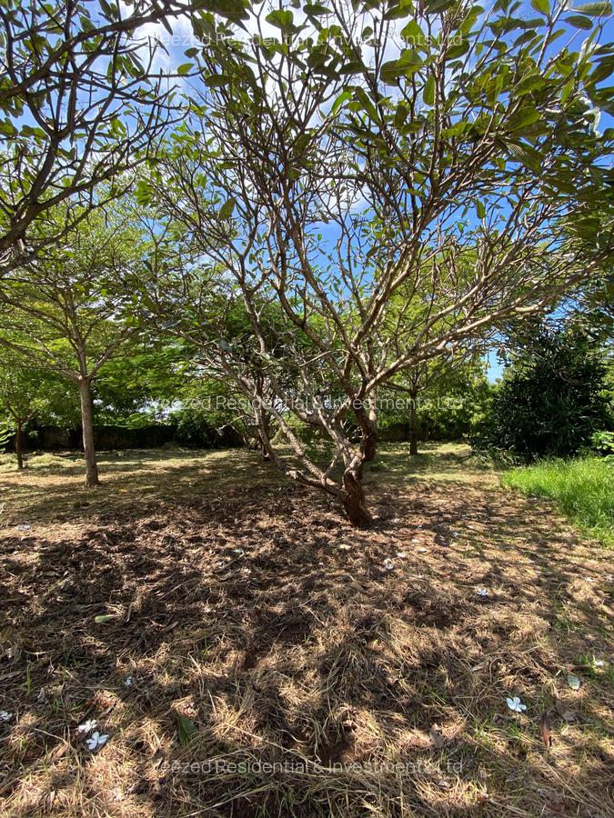 2 ac Land in Nyali Area - 11