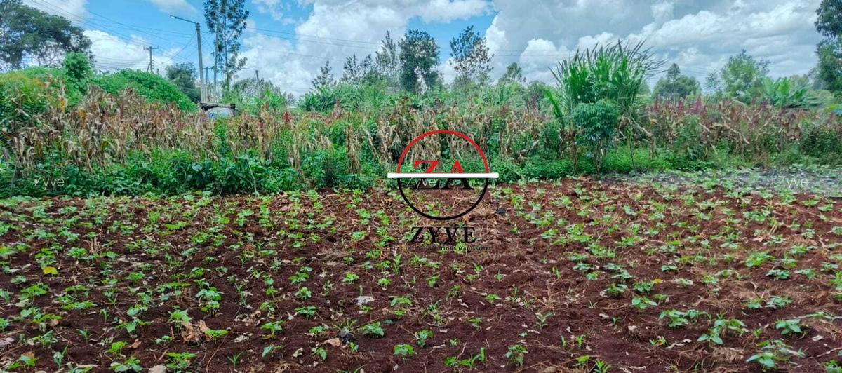0.125 ac Land at Off Ruaka Banana Road - 7