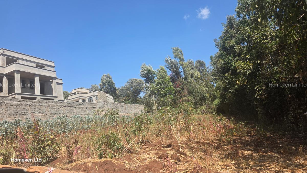 0.25 ac Land at Kerarapon Drive - 4