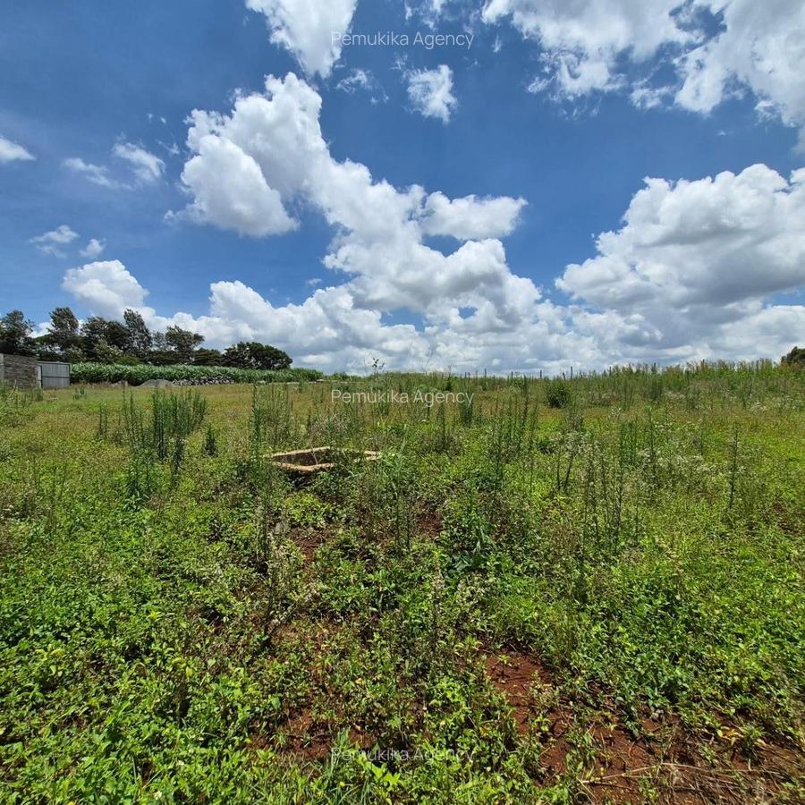 Residential Land in Runda - 8