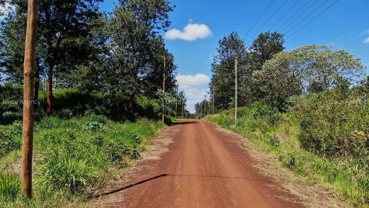 500 m² Residential Land in Tatu City - 11