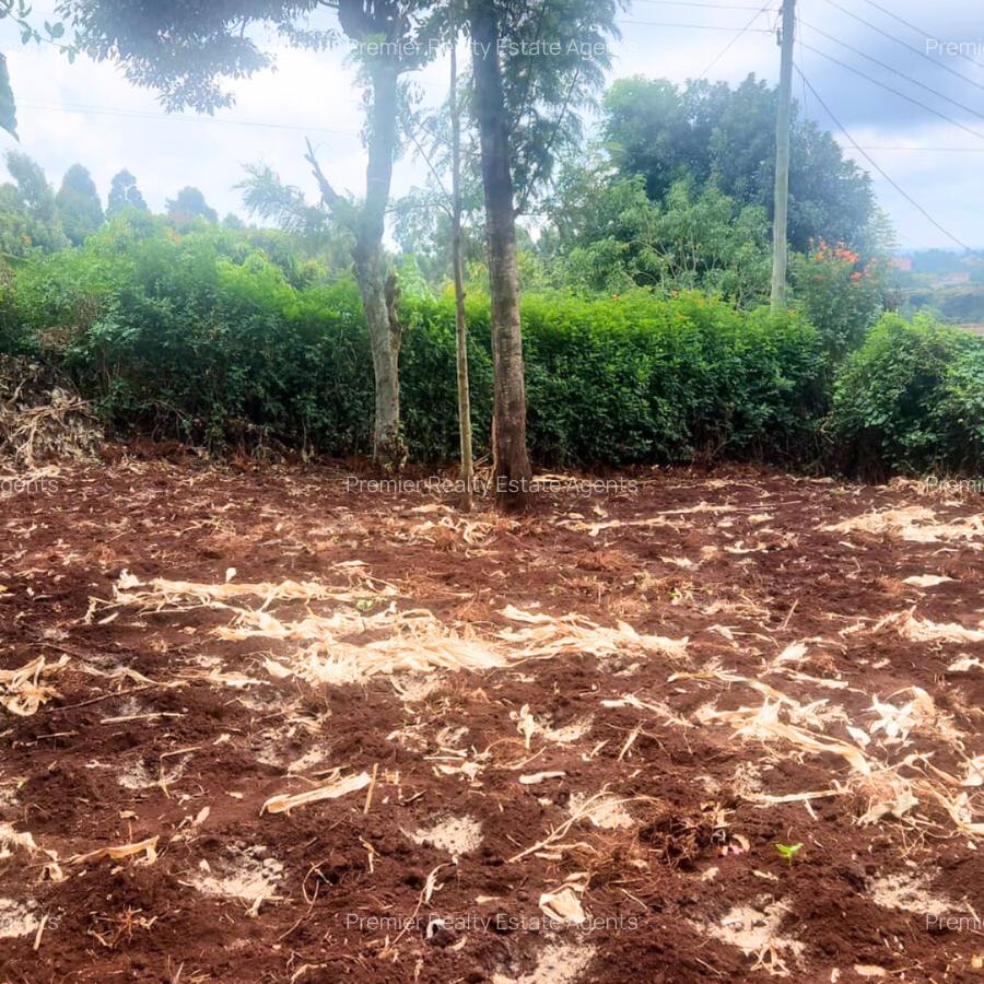 0.25 ac Land at Muthiga - 1