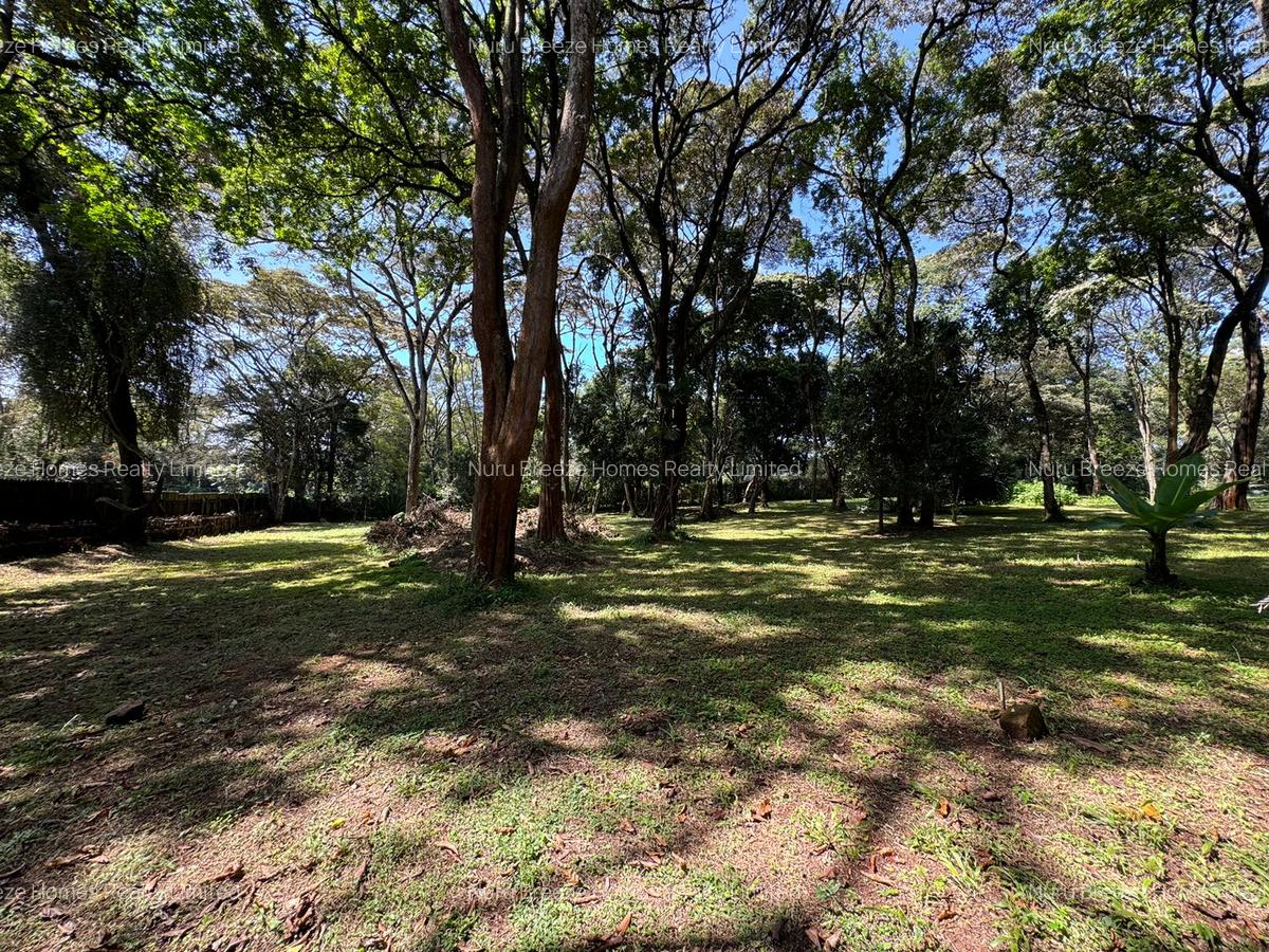 1 ac Land in Karen - 7