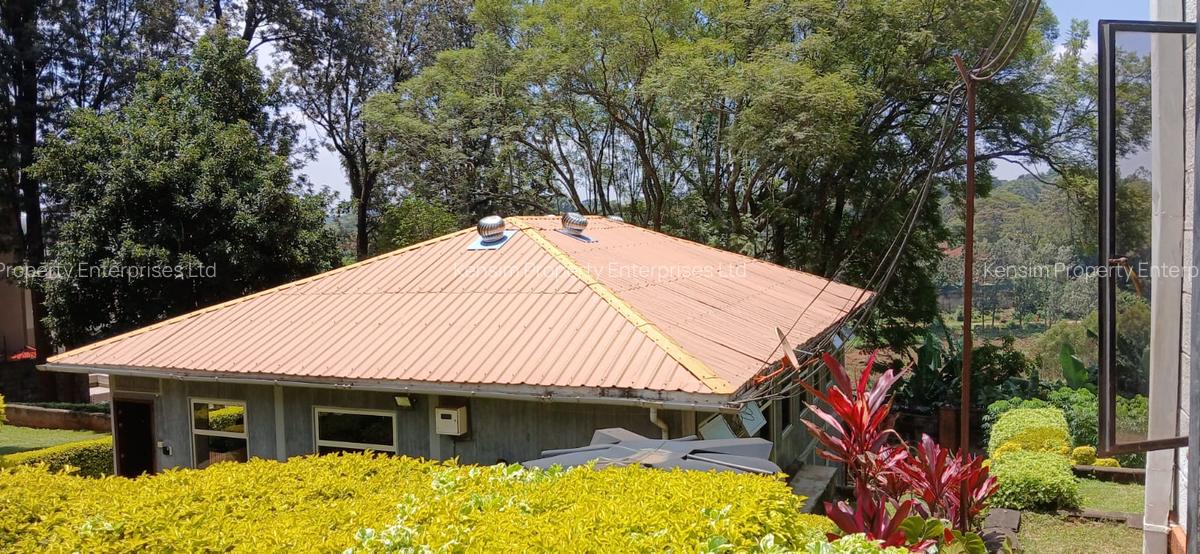 1.1 ac Commercial Property with Backup Generator in Lavington - 11