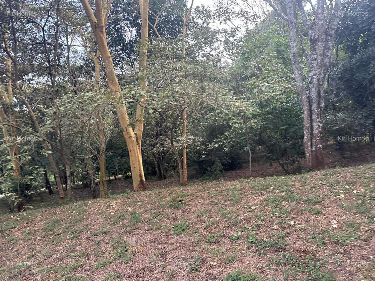 Land in Karen - 6