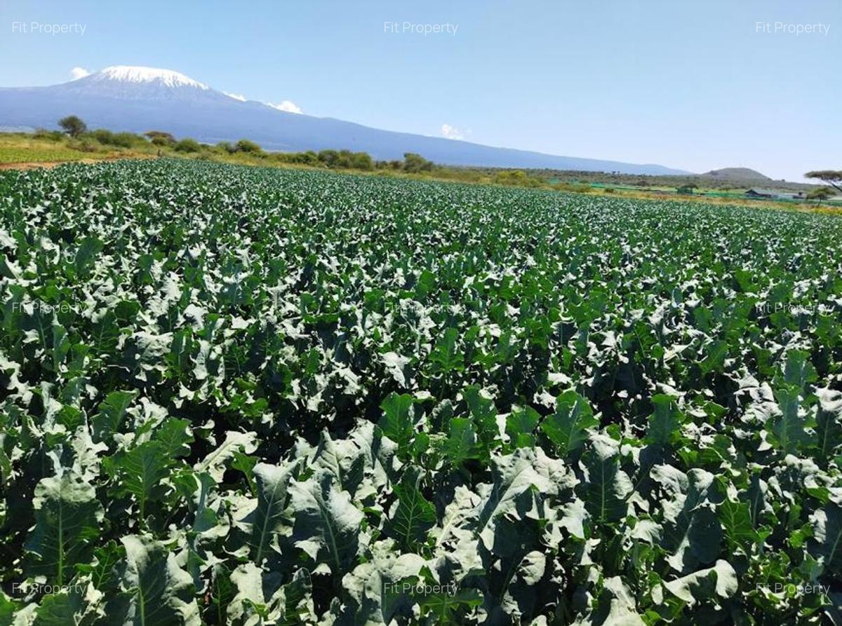 180 ac Land in Kajiado - 1