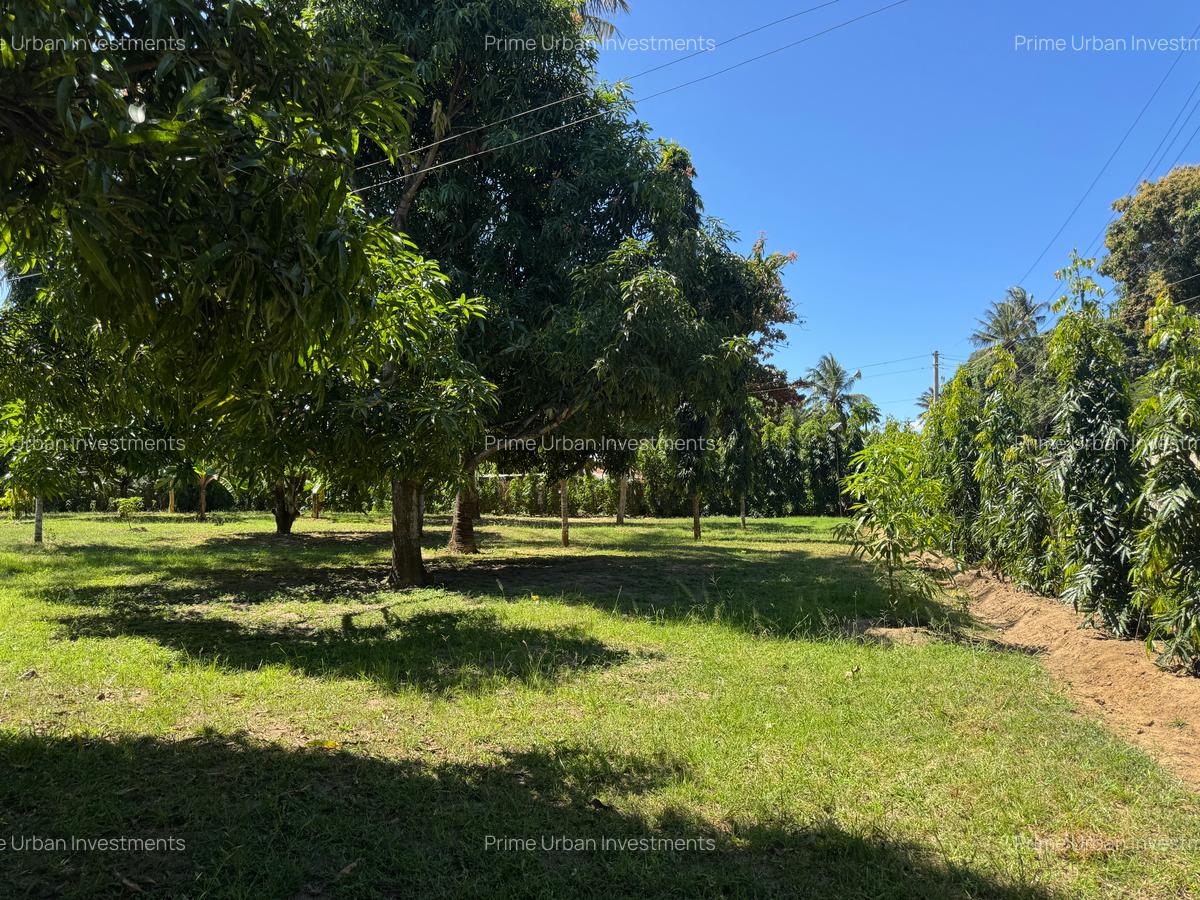 Land in Mtwapa - 20