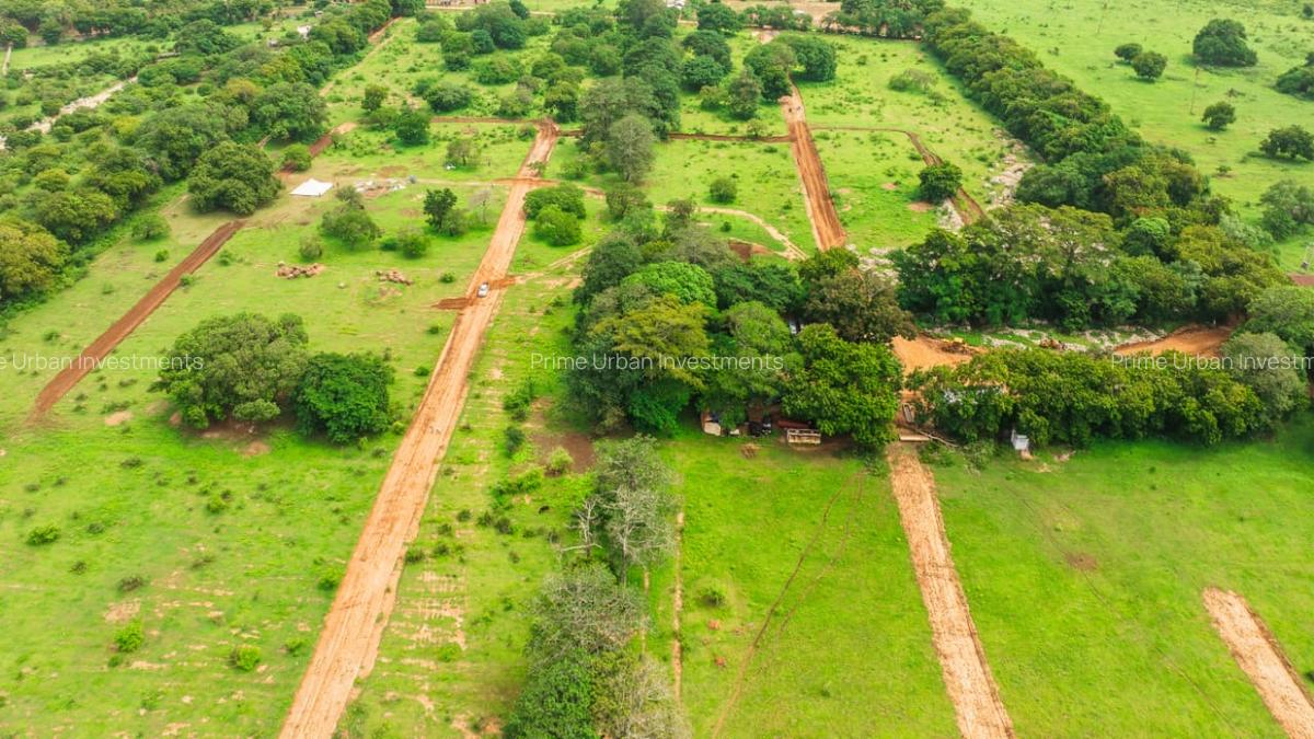 1,012 m² Residential Land at Kuruwitu Blue Green Estate Vipingo - 14