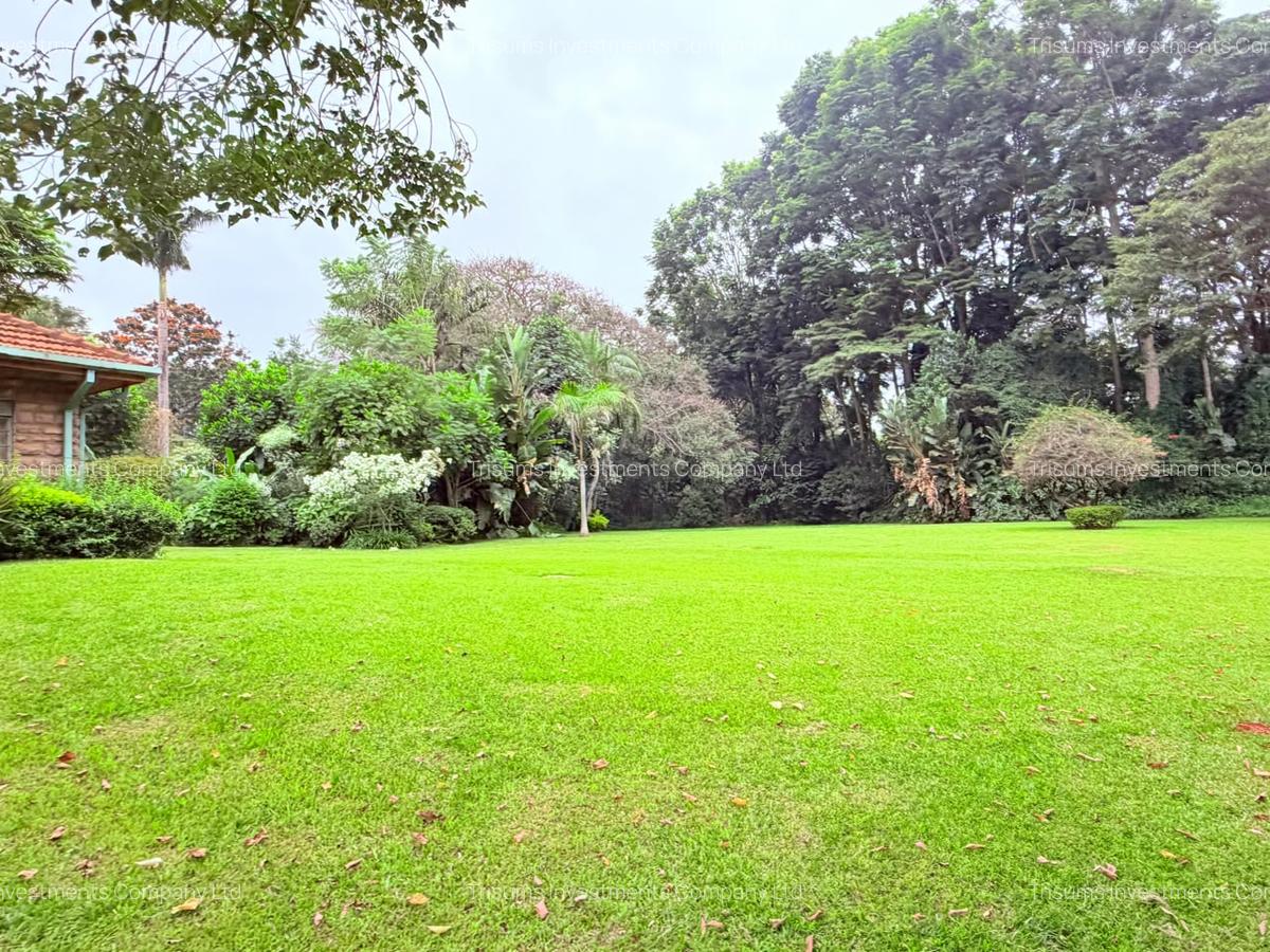 4.1 ac Land in Rosslyn - 14