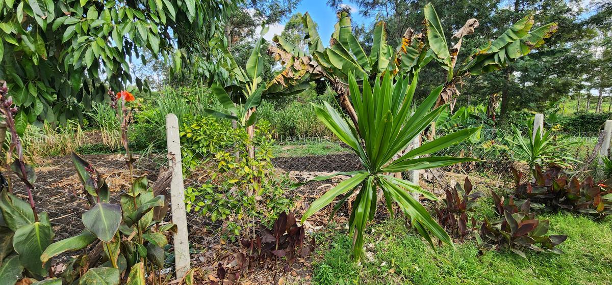 0.202 ha Residential Land at Rimpa - 15