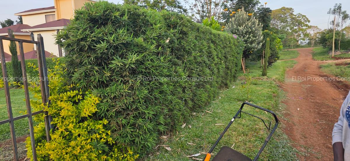 Residential Land in Kiambu Road - 4