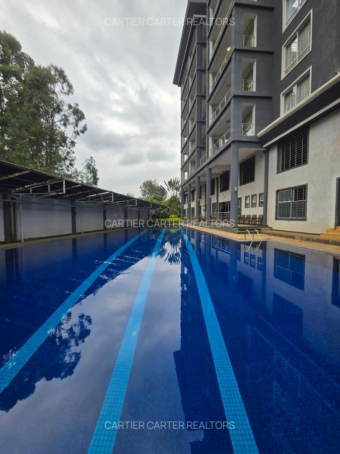 Furnished 2 Bed Apartment with En Suite in Kiambu Road - 20